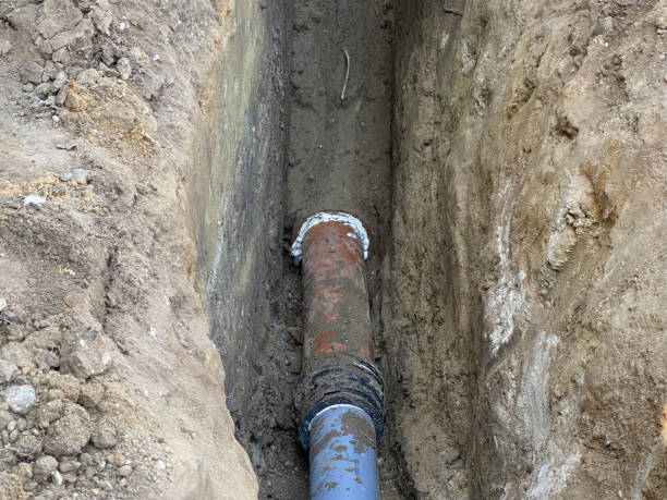 Best Sewage cleanup and water damage restoration  in Bowling Green, MD