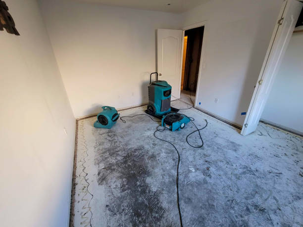 Best Local water damage restoration  in Bowling Green, MD