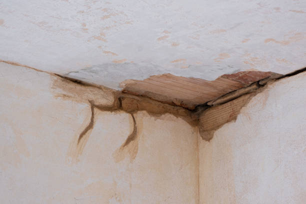 Best Mold removal after water damage  in Bowling Green, MD