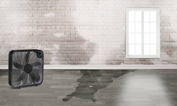 Best Flood restoration services  in Bowling Green, MD