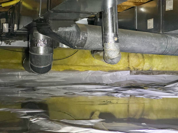 Best 24/7 water damage repair  in Bowling Green, MD