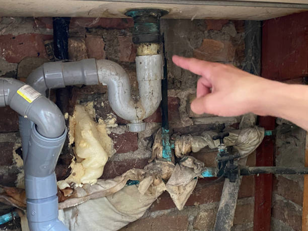 Best Professional water damage repair  in Bowling Green, MD