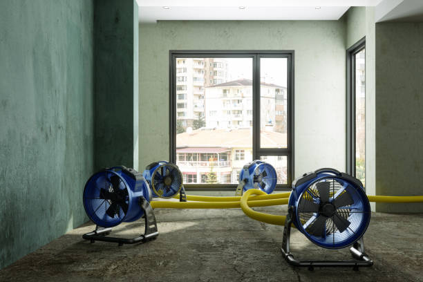 Best Flood restoration services  in Bowling Green, MD