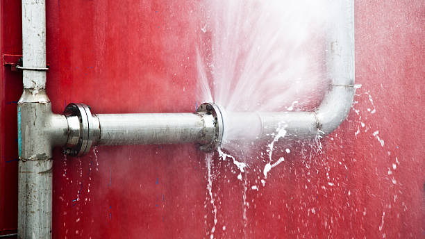  Bowling Green, MD Water damage restoration Pros