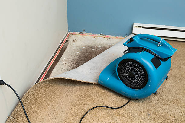 Best Flood damage cleanup  in Bowling Green, MD